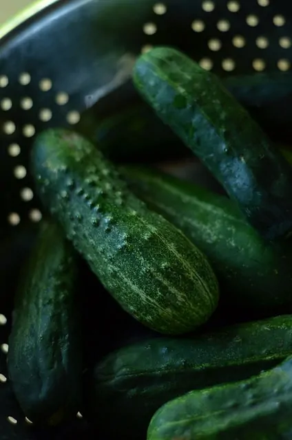 Pickled Cucumbers - Cukes